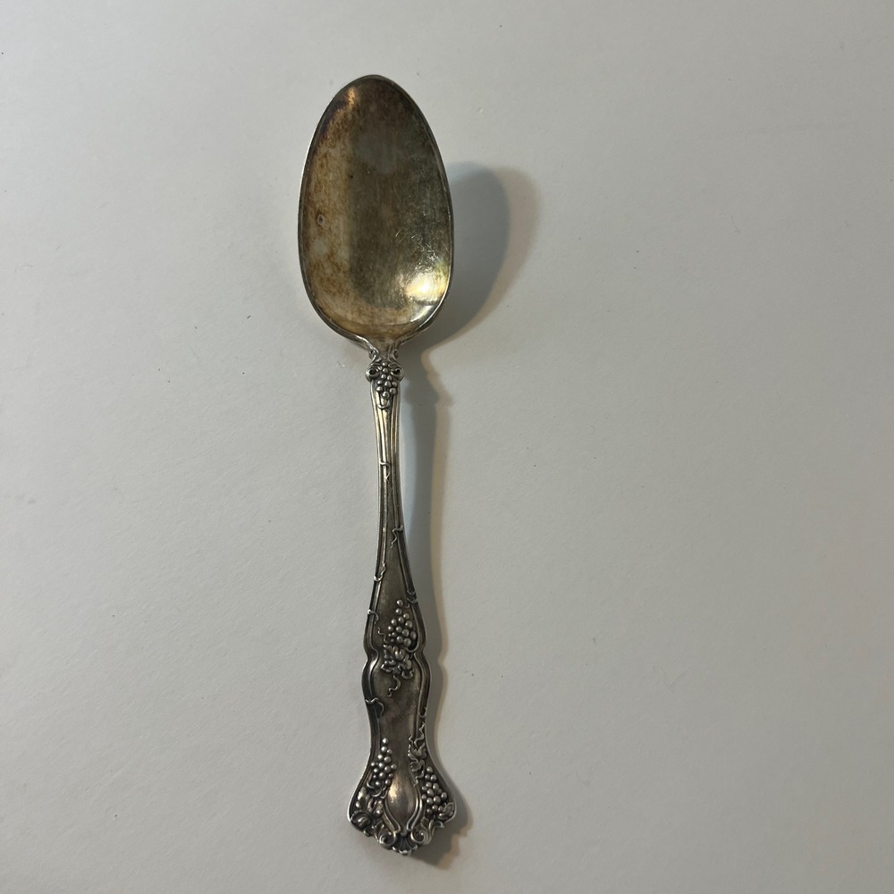 1847 Rogers Bros Vintage Grape Pattern A1 Silver Plated Serving Spoon 8.25"